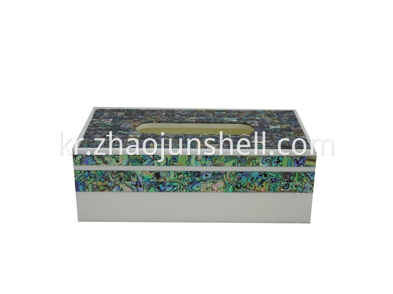 abalone shell tissue box